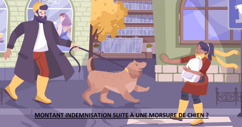 Montant indemnisation morsure chien