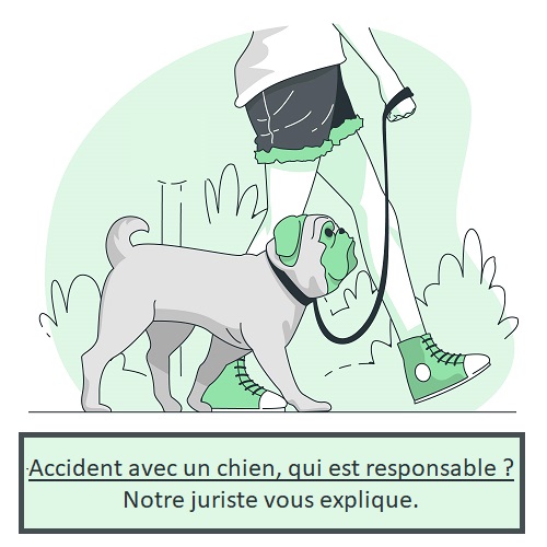 Accident avec un chien, qui est responsable